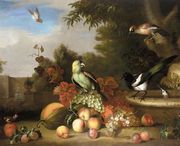 Still-Life of Fruit and Birds Reproduction