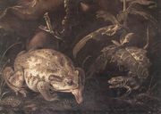 Still-Life with Insects and Amphibians (detail) 1662 Reproduction