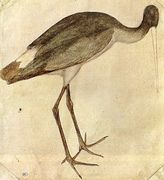 Stork 1430s Reproduction