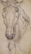 Study of the Head of a Horse 1437-38 Reproduction