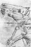 Study of Horse Heads 1433-38 Reproduction