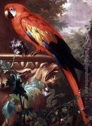 Scarlet Macaw in a Landscape Reproduction