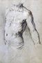 Study of a Male Torso Reproduction