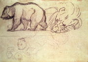 A bear walking, the head of a lion and a leopard attacking an animal Reproduction