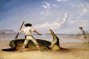 T.Baines and C.Humphrey killing an alligator on Horse Shoe flats Reproduction