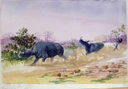 John Sawing's narrow escape from being run down by a couple of rhinoceros, north of the Makabie River, 1862 Reproduction