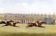 Racing Scene Reproduction