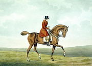 A Meltonian, As He Was, from 'The Meltonians' 1823 Reproduction