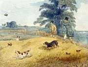 Flushing Birds, plate from 'Partridge Shooting' Reproduction